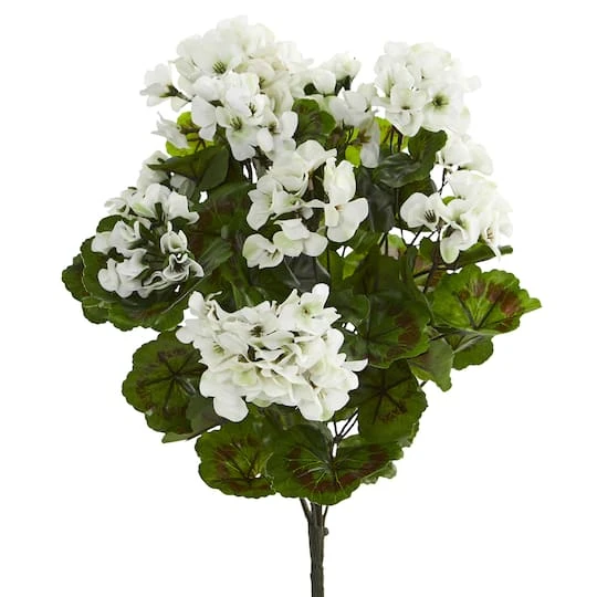 White Geranium Bush, 3ct. 4 White Geranium Bush, 3ct. - Image 2