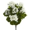 White Geranium Bush, 3ct. -Flowers Michael Store D293884S 11