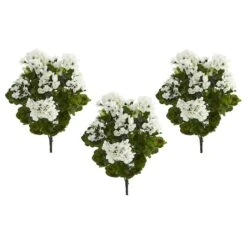 White Geranium Bush, 3ct. 8 White Geranium Bush, 3ct. -Flowers Michael Store D293884S 12