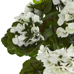 White Geranium Bush, 3ct. 9 White Geranium Bush, 3ct. -Flowers Michael Store D293884S 13