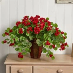 22'' Geranium With Decorative Planter -Flowers Michael Store D293891S 13