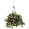 2.5ft. Hoya Plant In Hanging Basket -Flowers Michael Store D293900S 1