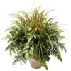 2ft. Mixed Greens & Grass In Ceramic Planter -Flowers Michael Store D293915S 1