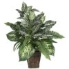 2ft. Mixed Greens Zebra In Wicker Silk Planter 2 2ft. Mixed Greens Zebra In Wicker Silk Planter -Flowers Michael Store D293920S 11