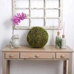 2.5ft. Mohlenbechia Ball In Black Tower Vase 19 2.5ft. Mohlenbechia Ball In Black Tower Vase -Flowers Michael Store D293925S 14