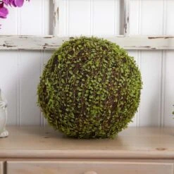 2.5ft. Mohlenbechia Ball In Black Tower Vase 21 2.5ft. Mohlenbechia Ball In Black Tower Vase -Flowers Michael Store D293925S 16