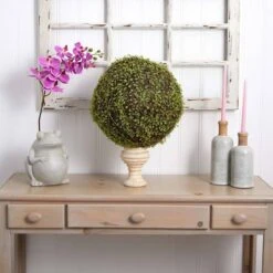 2.5ft. Mohlenbechia Ball In Black Tower Vase 22 2.5ft. Mohlenbechia Ball In Black Tower Vase -Flowers Michael Store D293925S 17