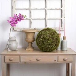 2.5ft. Mohlenbechia Ball In Black Tower Vase 24 2.5ft. Mohlenbechia Ball In Black Tower Vase -Flowers Michael Store D293925S 19