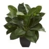 23" Potted Oak Ficus -Flowers Michael Store D293929S 11