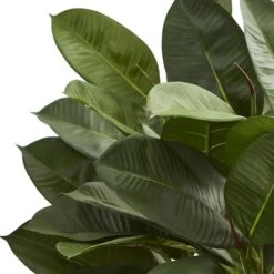 23" Potted Oak Ficus 8 23" Potted Oak Ficus -Flowers Michael Store D293929S 12