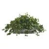 20" Puff Ivy Plant In Stone Planter -Flowers Michael Store D293943S 11