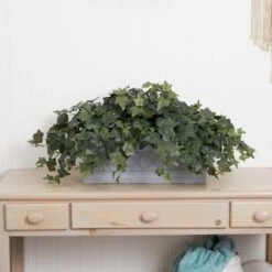 20" Puff Ivy Plant In Stone Planter -Flowers Michael Store D293943S 13