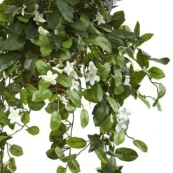 3.5ft. Stephanotis Flowering Plant In Hanging Basket -Flowers Michael Store D293960S 13