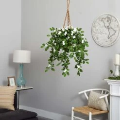 3.5ft. Stephanotis Flowering Plant In Hanging Basket -Flowers Michael Store D293960S 14