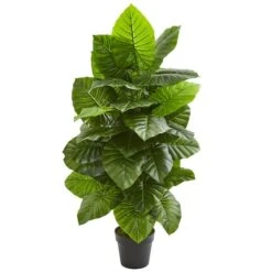 4ft. Potted Taro Plant 7 4ft. Potted Taro Plant -Flowers Michael Store D293970S 11 1