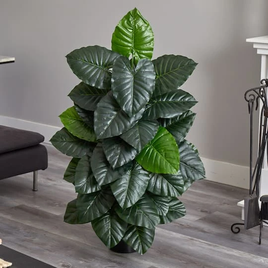 4ft. Potted Taro Plant 5 4ft. Potted Taro Plant - Image 3