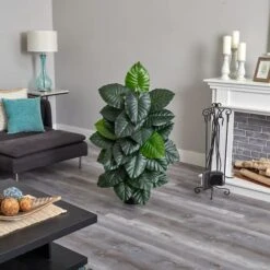 4ft. Potted Taro Plant 9 4ft. Potted Taro Plant -Flowers Michael Store D293970S 13