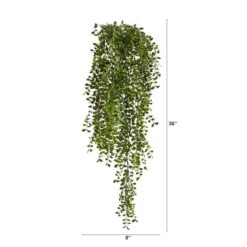 3ft. Potted Honey Locust Bush Plant, 2ct. -Flowers Michael Store D293979S 12