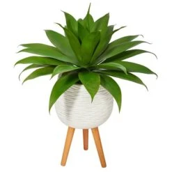 2.5ft. Agave Plant In White Planter With Stand -Flowers Michael Store D293998S 1 1