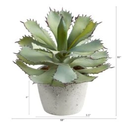 11" Potted Succulent Plant 9 11" Potted Succulent Plant -Flowers Michael Store D294034S 2