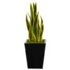 2.5ft. Snake Plant In Black Metal Planter 1 2.5ft. Snake Plant In Black Metal Planter -Flowers Michael Store D294090S 1