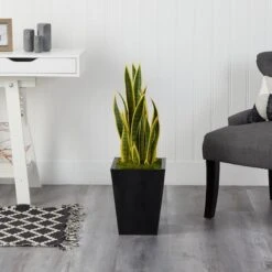 2.5ft. Snake Plant In Black Metal Planter 10 2.5ft. Snake Plant In Black Metal Planter -Flowers Michael Store D294090S 3
