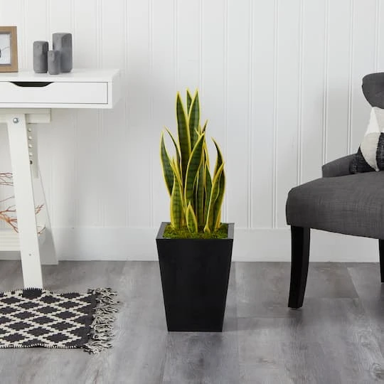 2.5ft. Snake Plant In Black Metal Planter 6 2.5ft. Snake Plant In Black Metal Planter - Image 4