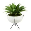2.5ft. Agave Plant In White Planter With Metal Stand -Flowers Michael Store D294094S 1