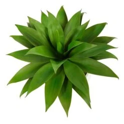 2.5ft. Agave Plant In White Planter With Metal Stand -Flowers Michael Store D294094S 3