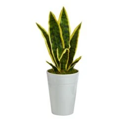 18" Snake Plant In Decorative White Planter -Flowers Michael Store D294113S 1 1