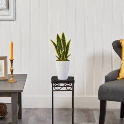 18" Snake Plant In Decorative White Planter -Flowers Michael Store D294113S 3