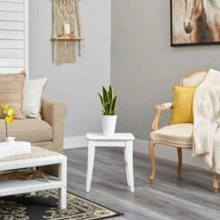 18" Snake Plant In Decorative White Planter -Flowers Michael Store D294113S 4