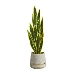 3ft. Snake Plant In Stoneware Planter With Gold Trim -Flowers Michael Store D294118S 1 1