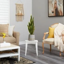 3ft. Snake Plant In Stoneware Planter With Gold Trim -Flowers Michael Store D294118S 4