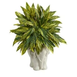 25" Spiderwort Plant In White Elephant Shaped Planter -Flowers Michael Store D294129S 3