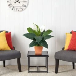 2ft. Peace Lily Plant In Terra Cotta Planter -Flowers Michael Store D294151S 3