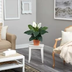 2ft. Peace Lily Plant In Terra Cotta Planter -Flowers Michael Store D294151S 4