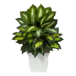2ft. Golden Dumb Cane In Decorative White Metal Planter -Flowers Michael Store D294158S 1 1