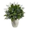 3ft. Mixed Peace Lily Plant In Decorative White Planter -Flowers Michael Store D294163S 1