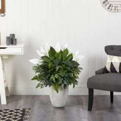 3ft. Mixed Peace Lily Plant In Decorative White Planter -Flowers Michael Store D294163S 3