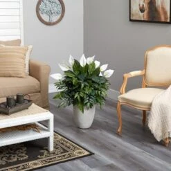 3ft. Mixed Peace Lily Plant In Decorative White Planter -Flowers Michael Store D294163S 4