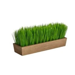 5" Grass Plant In Decorative Planter -Flowers Michael Store D294187S 3