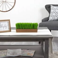 5" Grass Plant In Decorative Planter -Flowers Michael Store D294187S 4