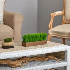 5" Grass Plant In Decorative Planter -Flowers Michael Store D294187S 5