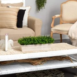 8" Eucalyptus In Decorative Planter -Flowers Michael Store D294191S 5