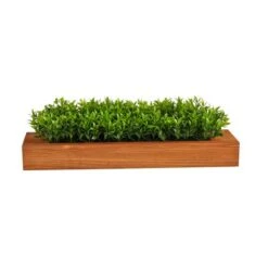 6" Sweet Grass Plant In Decorative Planter -Flowers Michael Store D294193S 1 1