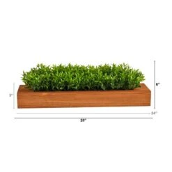 6" Sweet Grass Plant In Decorative Planter -Flowers Michael Store D294193S 2