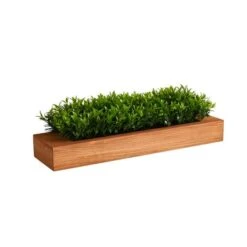 6" Sweet Grass Plant In Decorative Planter -Flowers Michael Store D294193S 3
