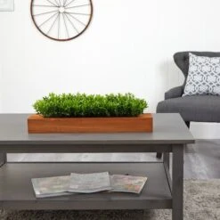 6" Sweet Grass Plant In Decorative Planter -Flowers Michael Store D294193S 4