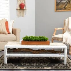 6" Sweet Grass Plant In Decorative Planter -Flowers Michael Store D294193S 5